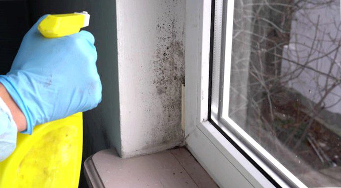 strongMold in the apartment - what rights do tenants have?-strong